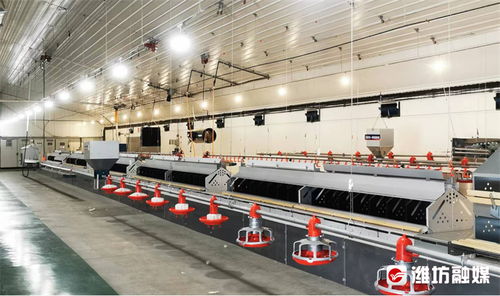 濰觀丨向世界遞上農(nóng)業(yè)開放發(fā)展的 濰坊名片