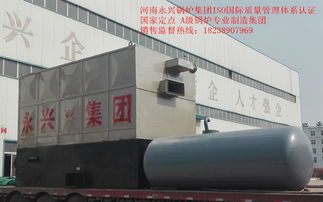 西安6噸燃?xì)庹羝仩t熱銷與河南軟件開發(fā)的雙重機(jī)遇