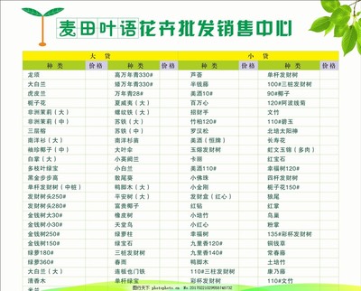 鮮花與花卉市場(chǎng)全品類價(jià)目表解析 從優(yōu)惠到底價(jià)的選購(gòu)攻略
